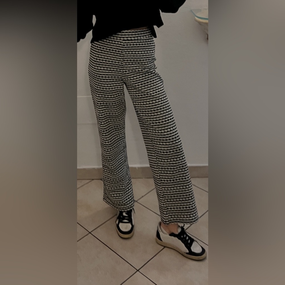 Super cool Zara pants